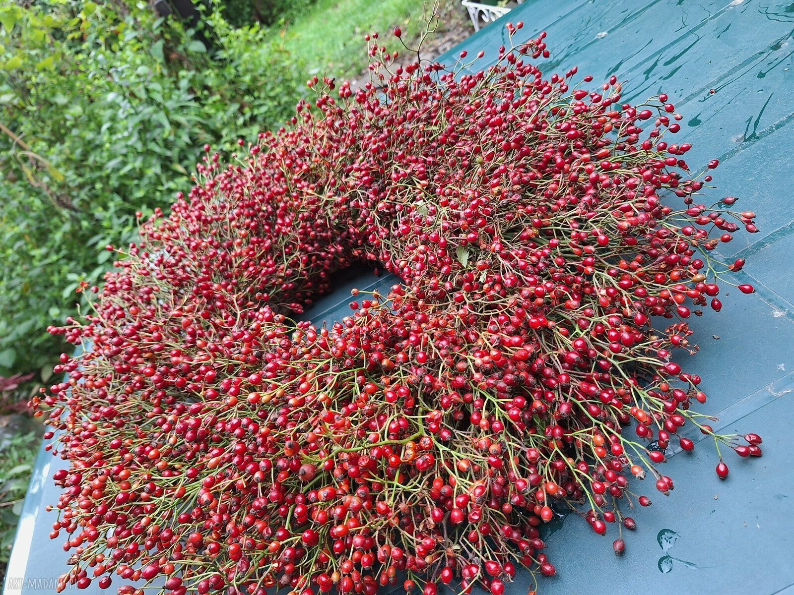 Jesienny wianek na drzwi z owoców róży wielokwiatowej - ok. 55 cm