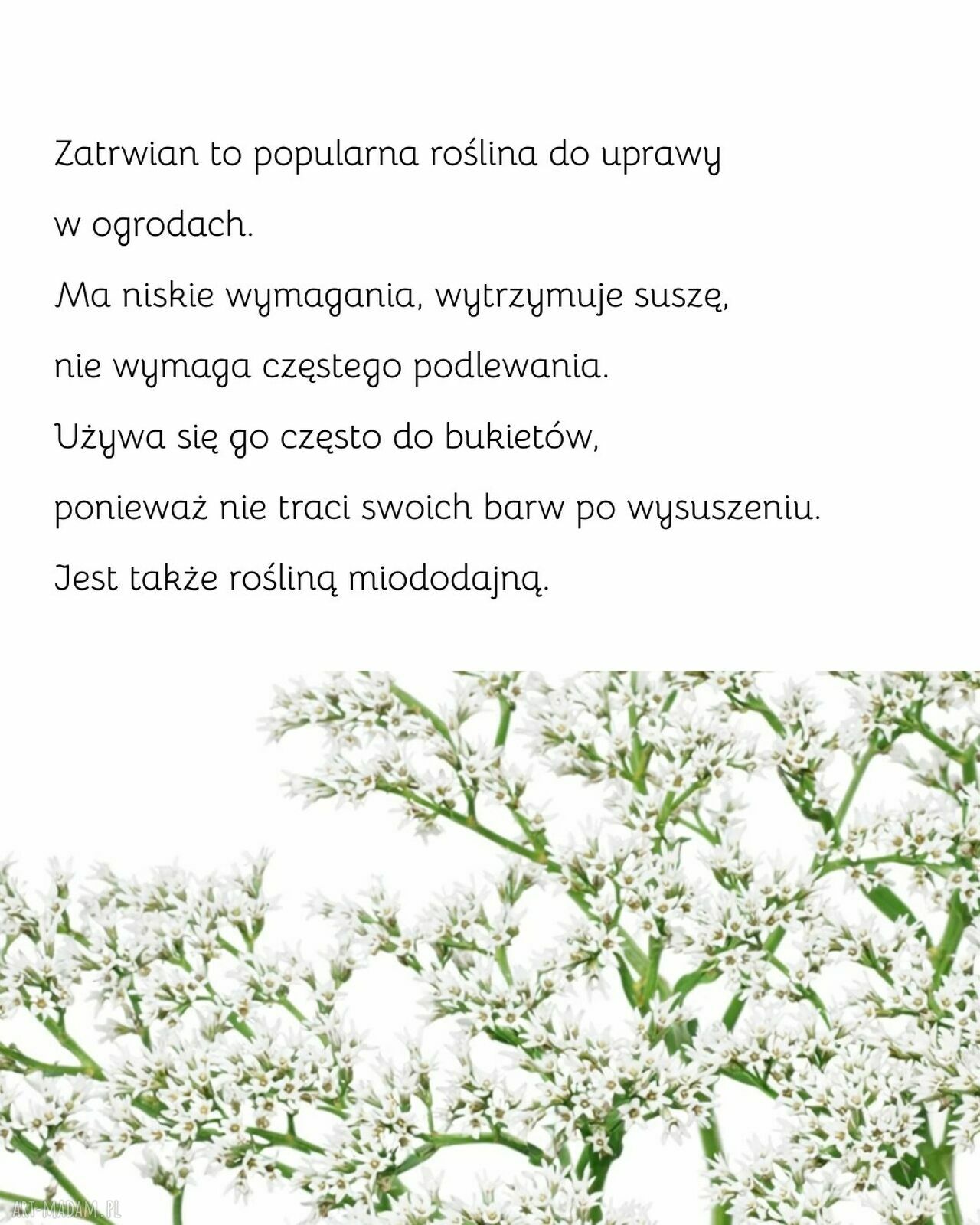 Rustykalny wianek nadmorski boho z suszonych kwiatów - dekoracja handmade