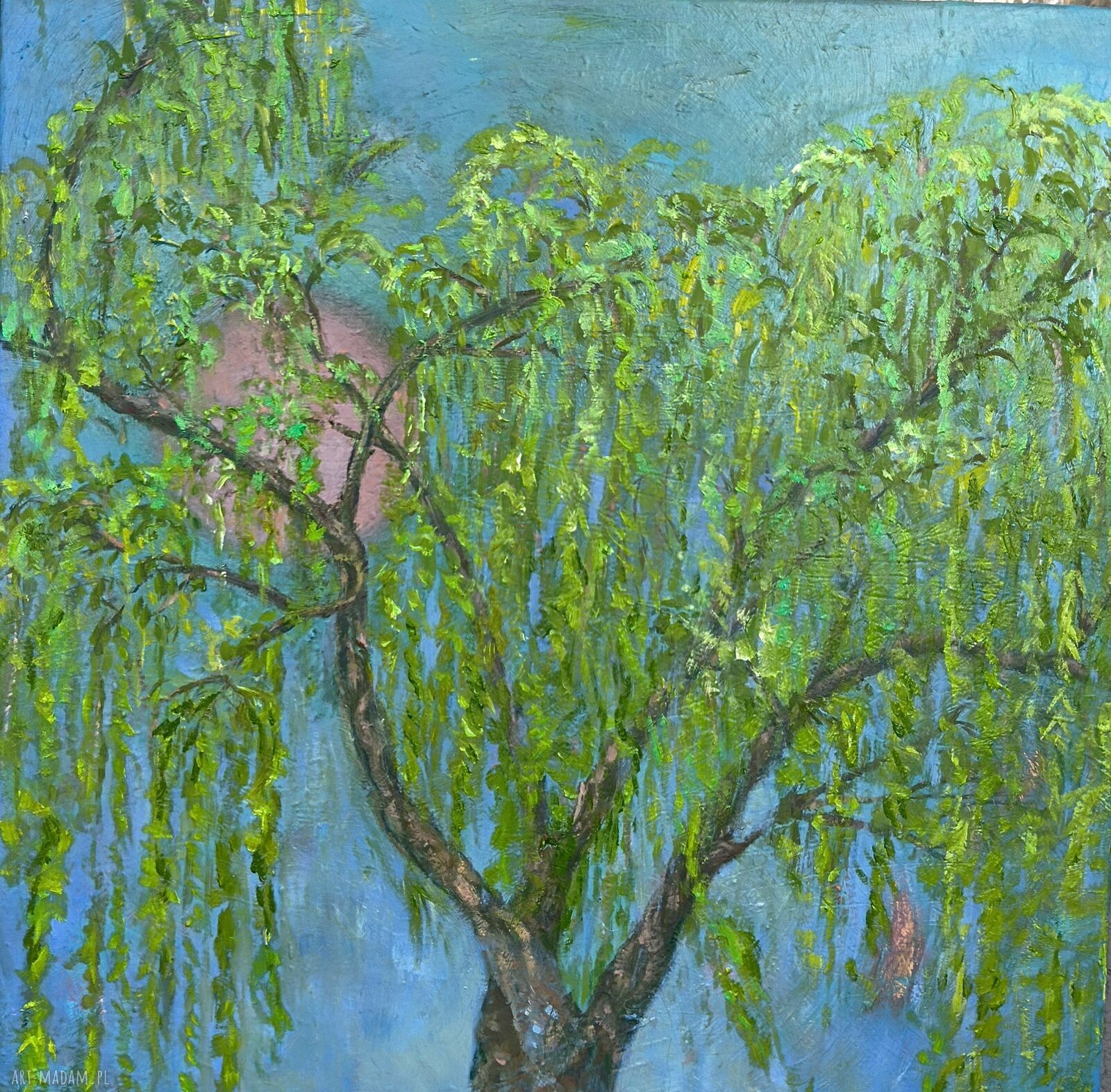 Wierzba płacząca - obraz olejny na płótnie 50x50
