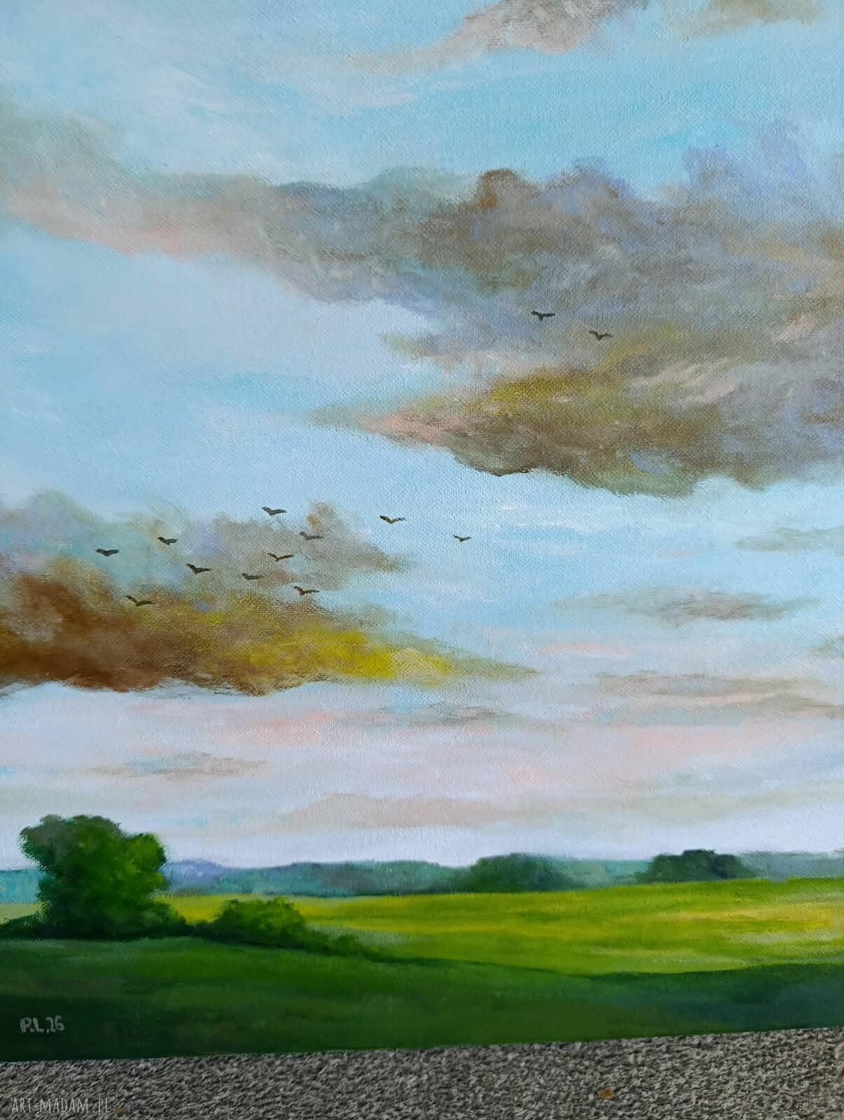 Wiosenny Poranek - obraz akrylowy na płótnie 50 x 40 cm