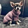 handmade akcesoria wełniany sweterek dla psa mery(nosek) chihuahua