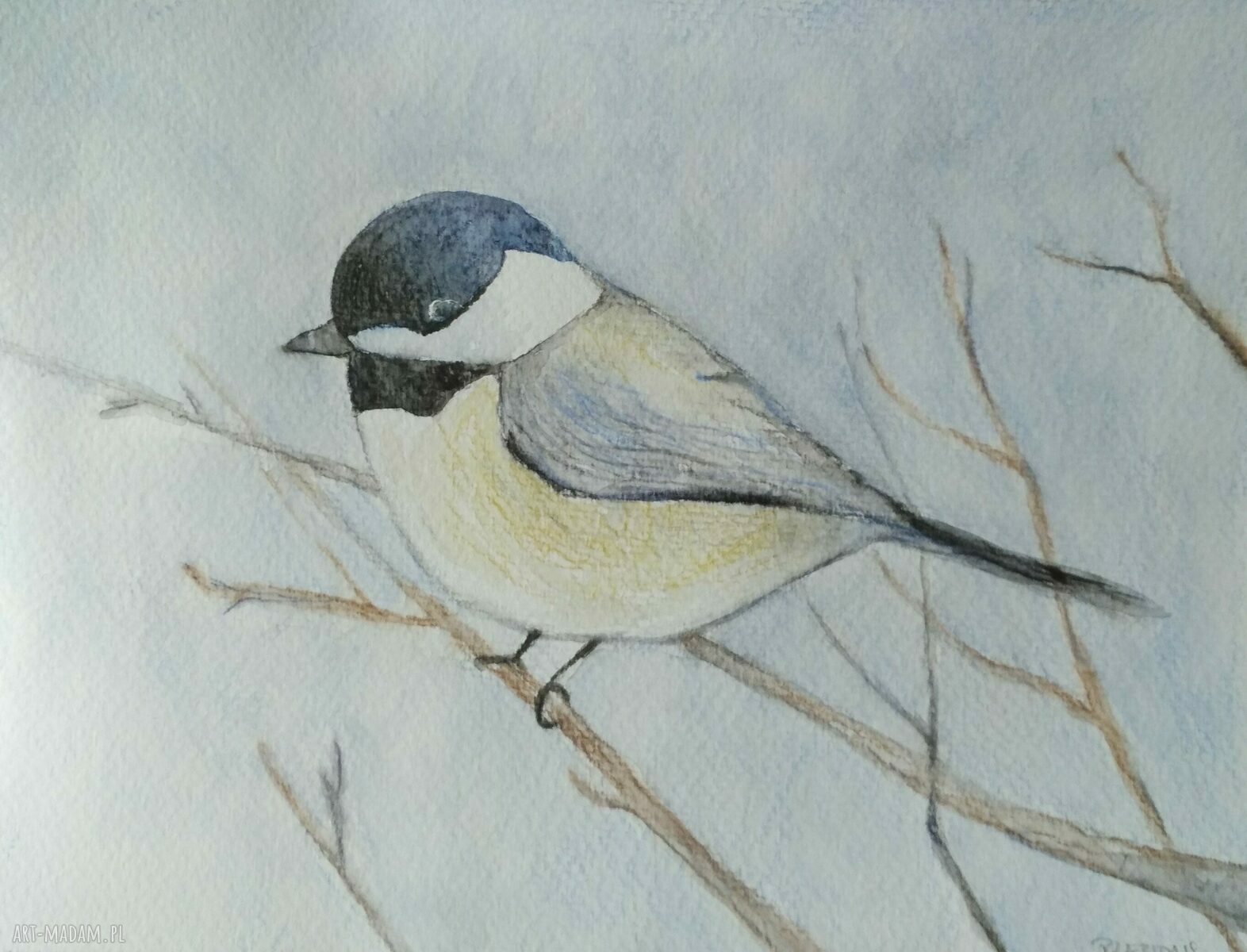 Akwarela „WRÓBEL” - ręcznie malowany obraz 18x24 cm