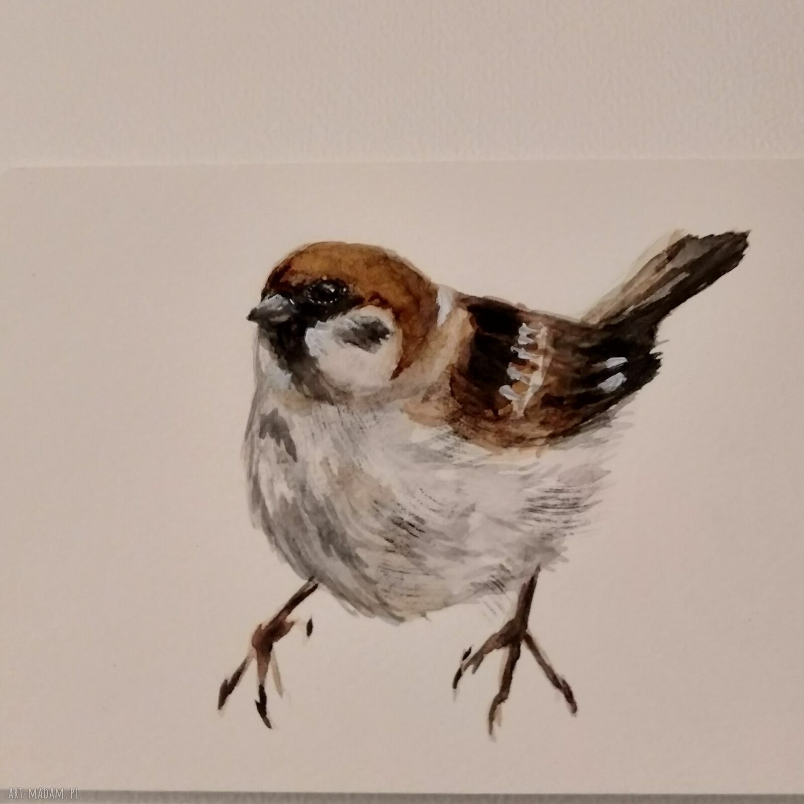 Wróbel - akwarela Lhotse Design na papierze 250 g 10x15 cm