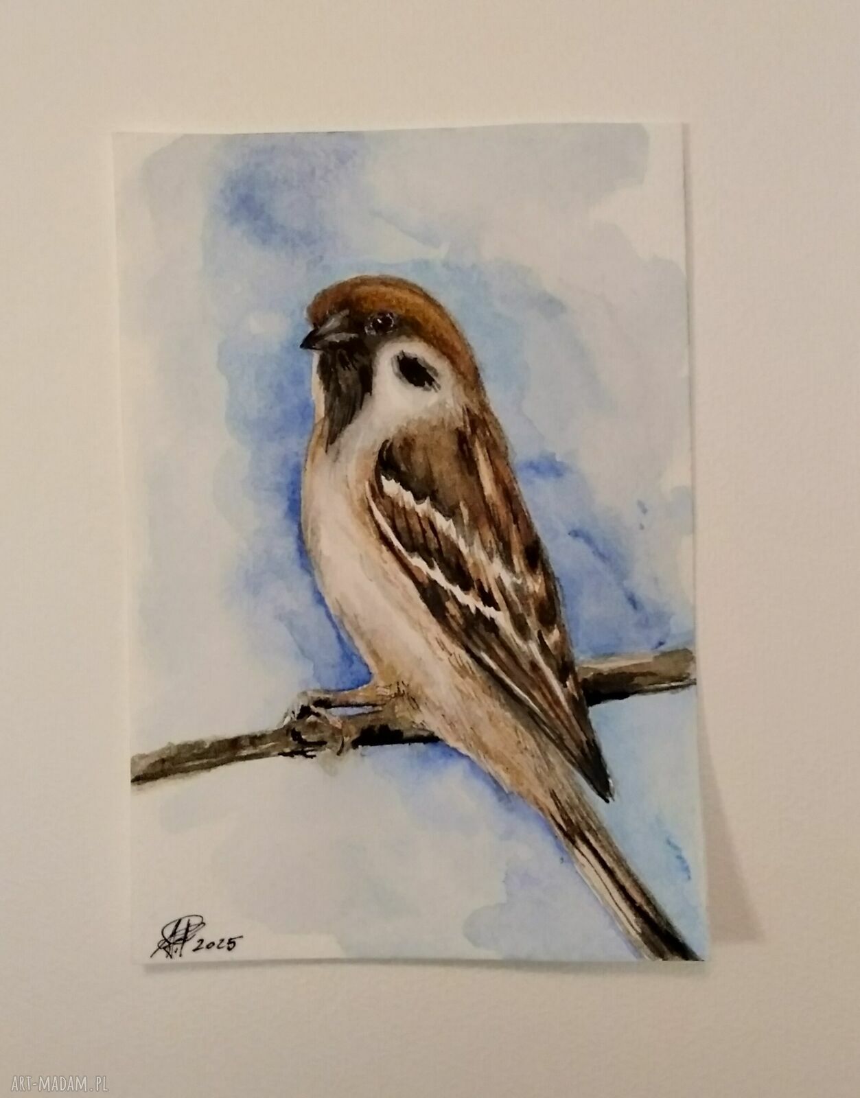 Wróbel - akwarela z ptakami na papierze 300 g 10,5 x 15 cm