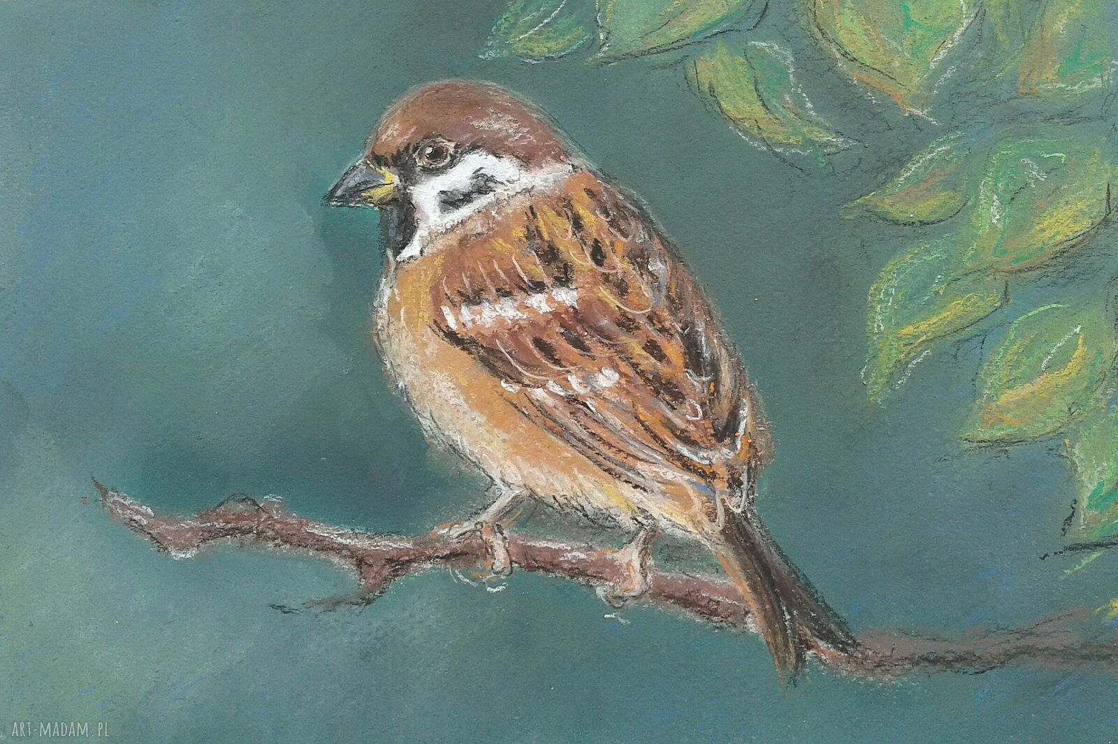 Wróbelek - pastele suche, leśny ptak na papierze 16x24 cm