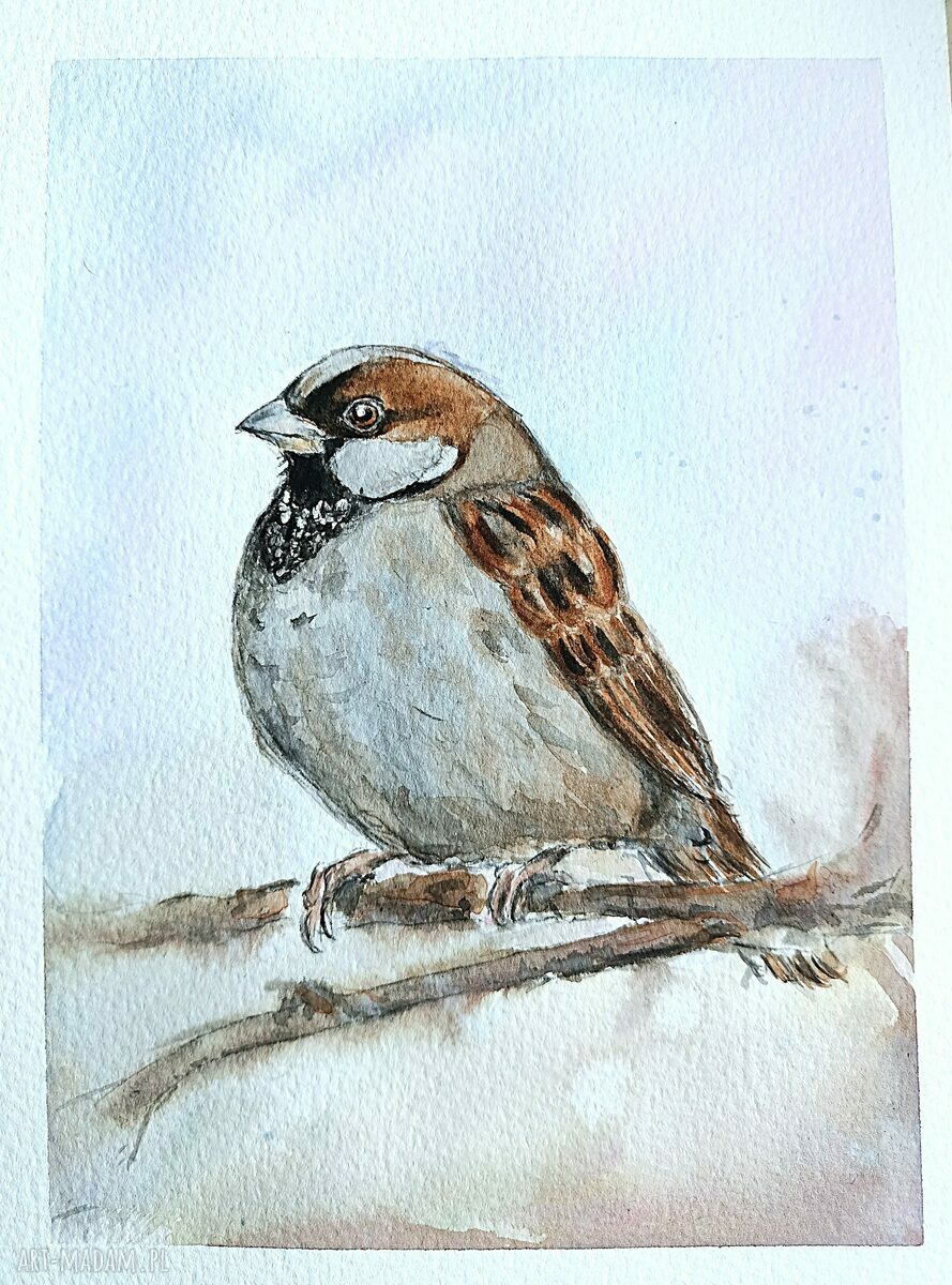 Wróbelek - akwarela ręcznie malowana na papierze 19x26 cm (ptaki)