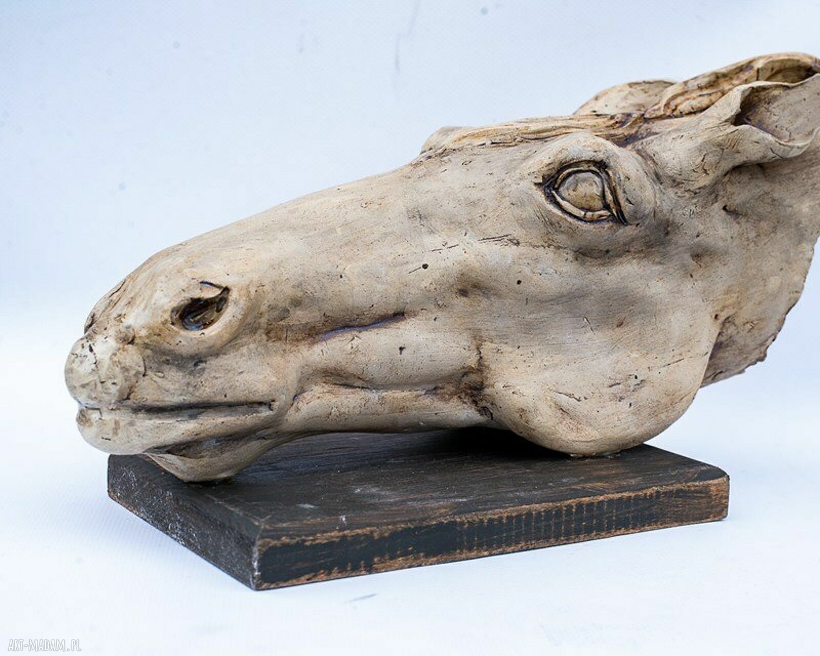 Ręcznie wykonana ceramiczna rzeźba głowy konia na drewnianej podstawie