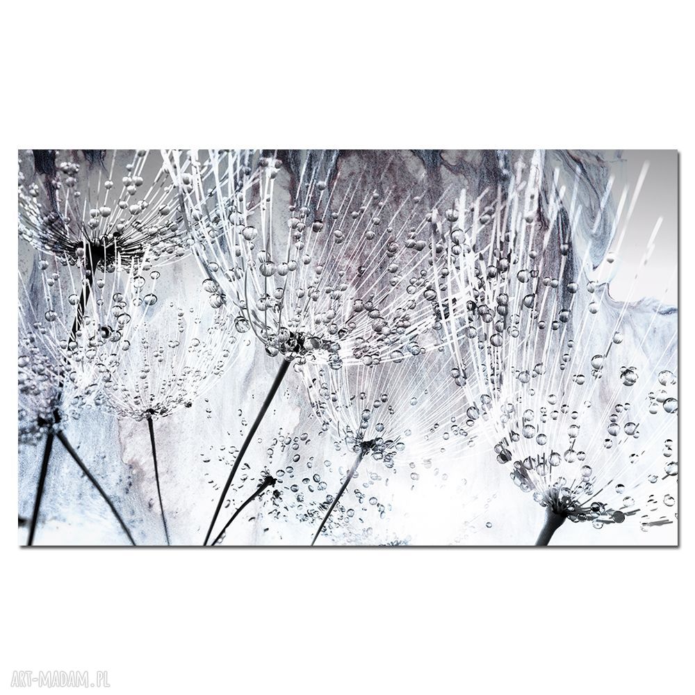Obraz XXL „Dmuchawce 10” do salonu w szarościach 140x82 cm na płótnie canvas