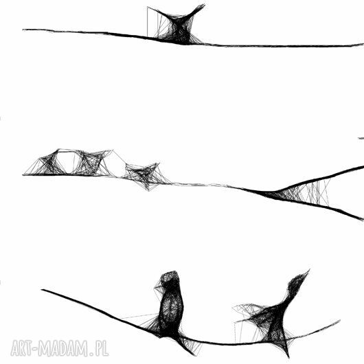 Grafika z ramą nr 106 - czarno-biała ilustracja ptaków do salonu