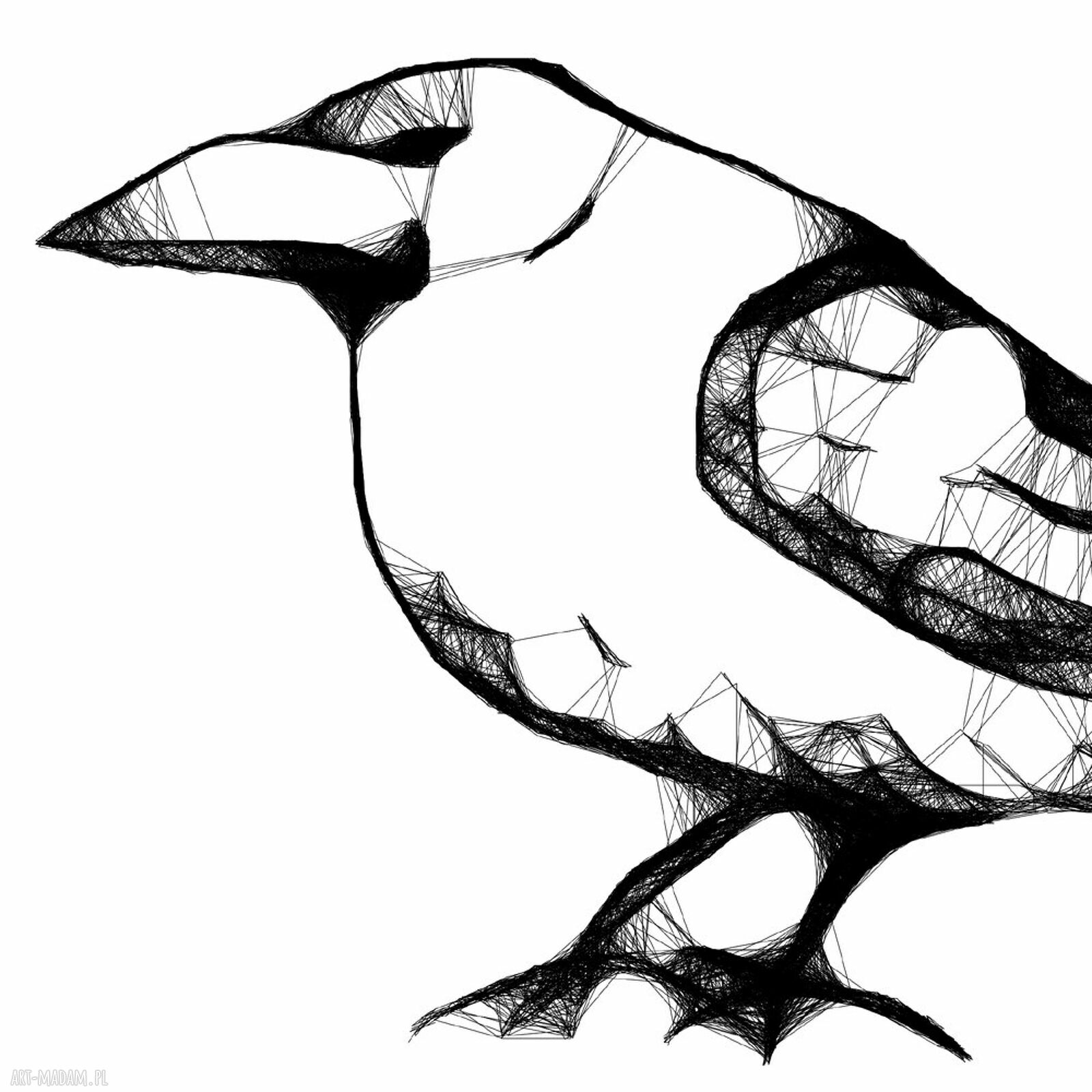 Grafika z ramą Kruk - nr 114