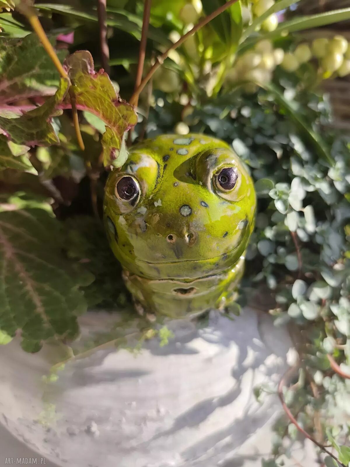Ręcznie robiona żaba ceramiczna do doniczki