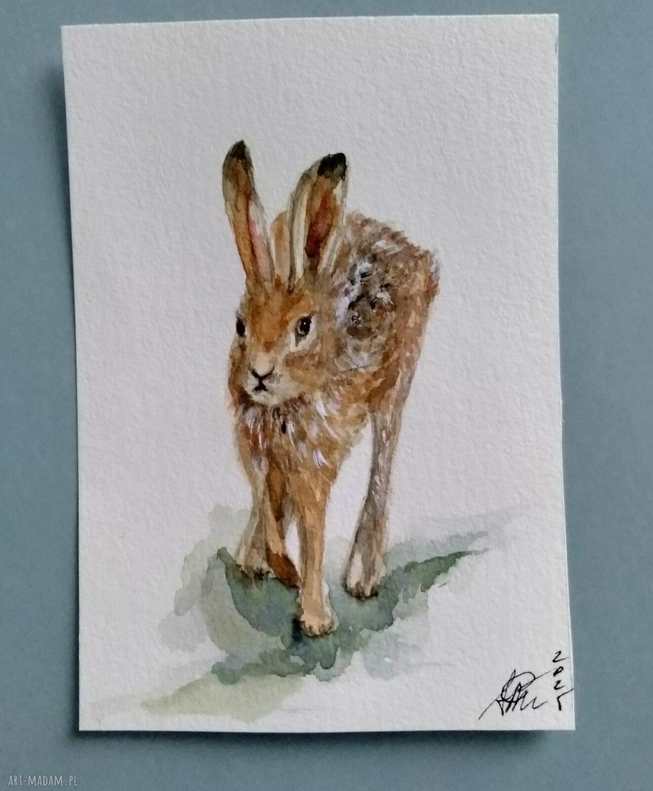 Zając w akwareli - jesienna ilustracja ręcznie malowana