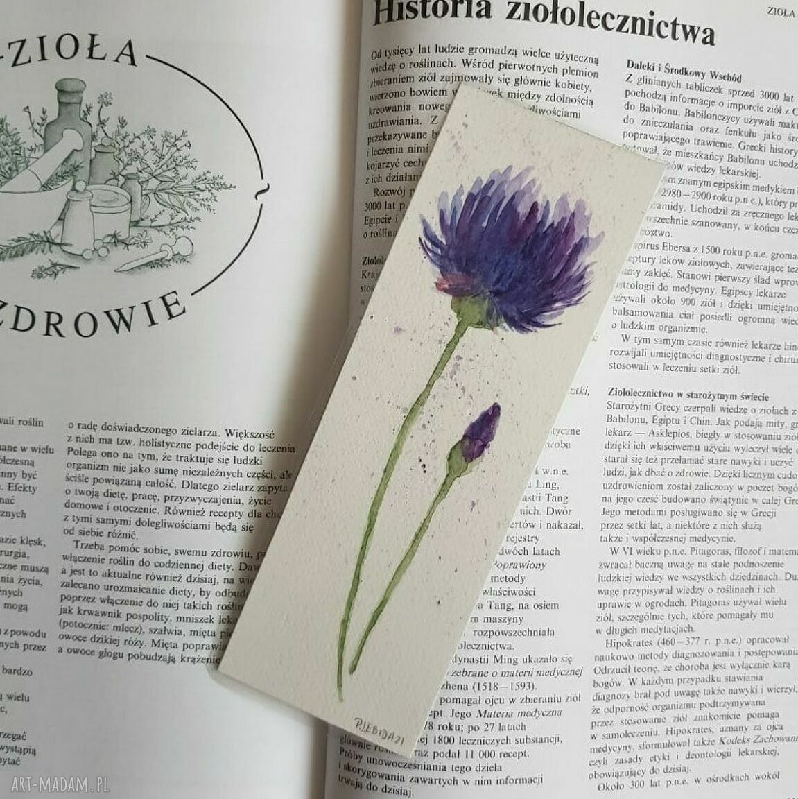 Zakładka do książki „Kwiatek” - ręcznie malowana akwarela, laminowana
