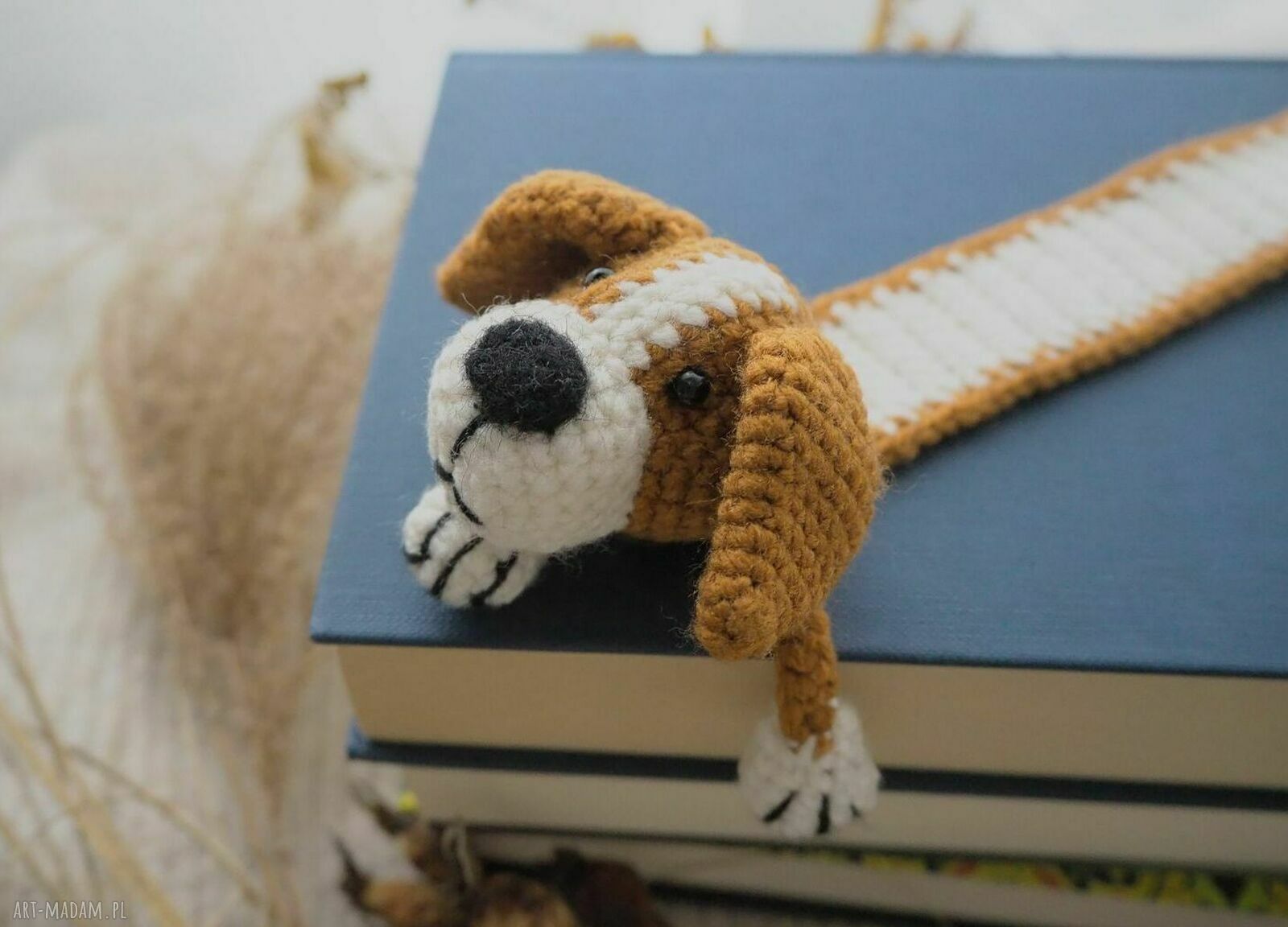 Zakładka do książki REKSIO - Jack Russell Terrier