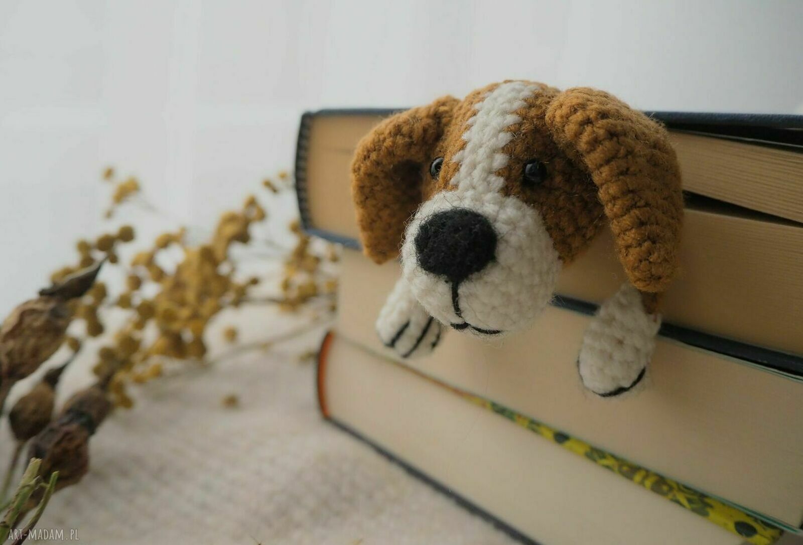 Zakładka do książki REKSIO - Jack Russell Terrier