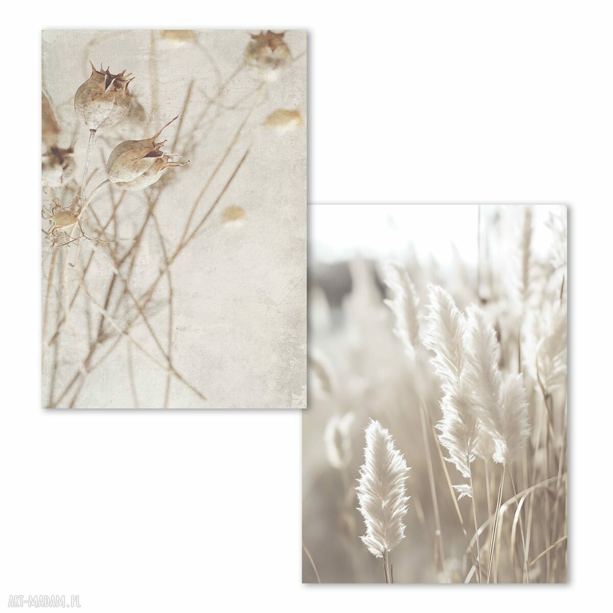 Zestaw plakatów 2 sztuki 40x50 cm Natura Boho flow17