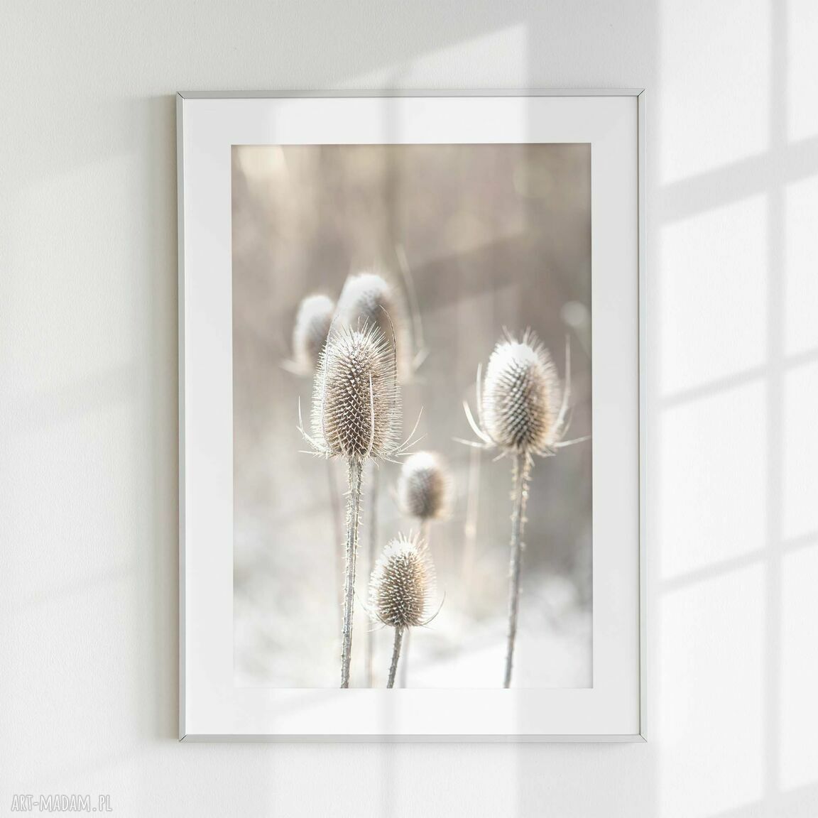 Zestaw plakatów 50x70 cm Tryptyk Boho set68