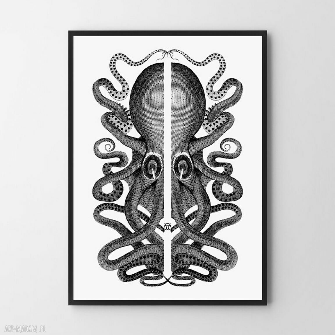 Zestaw 2 plakatów z ośmiornicami 30x40 cm czarno-białe
