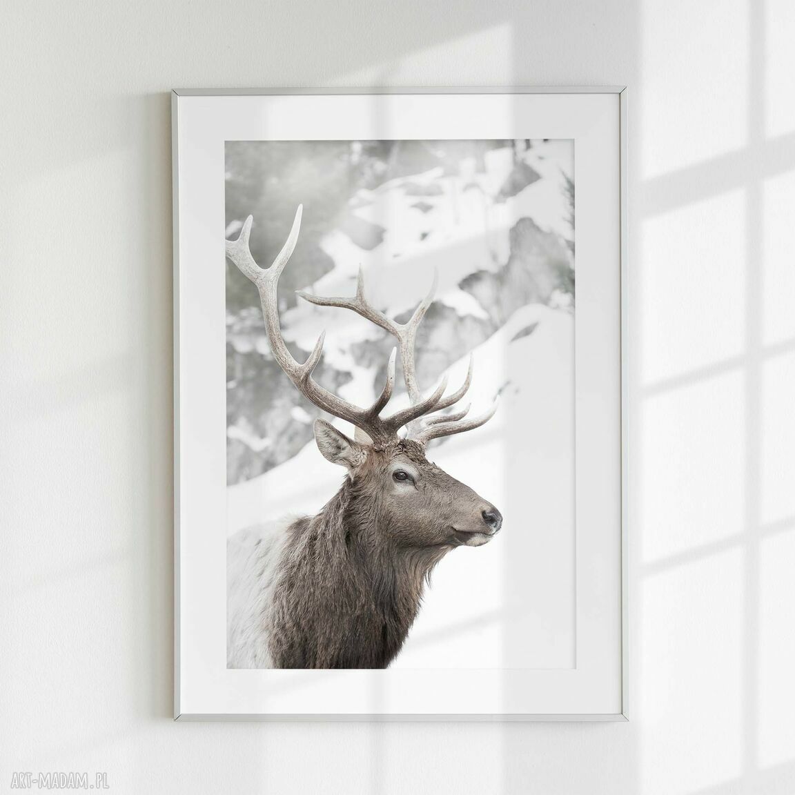Zestaw plakatów 3x 40x50 cm Zimowe kadry - tryptyk