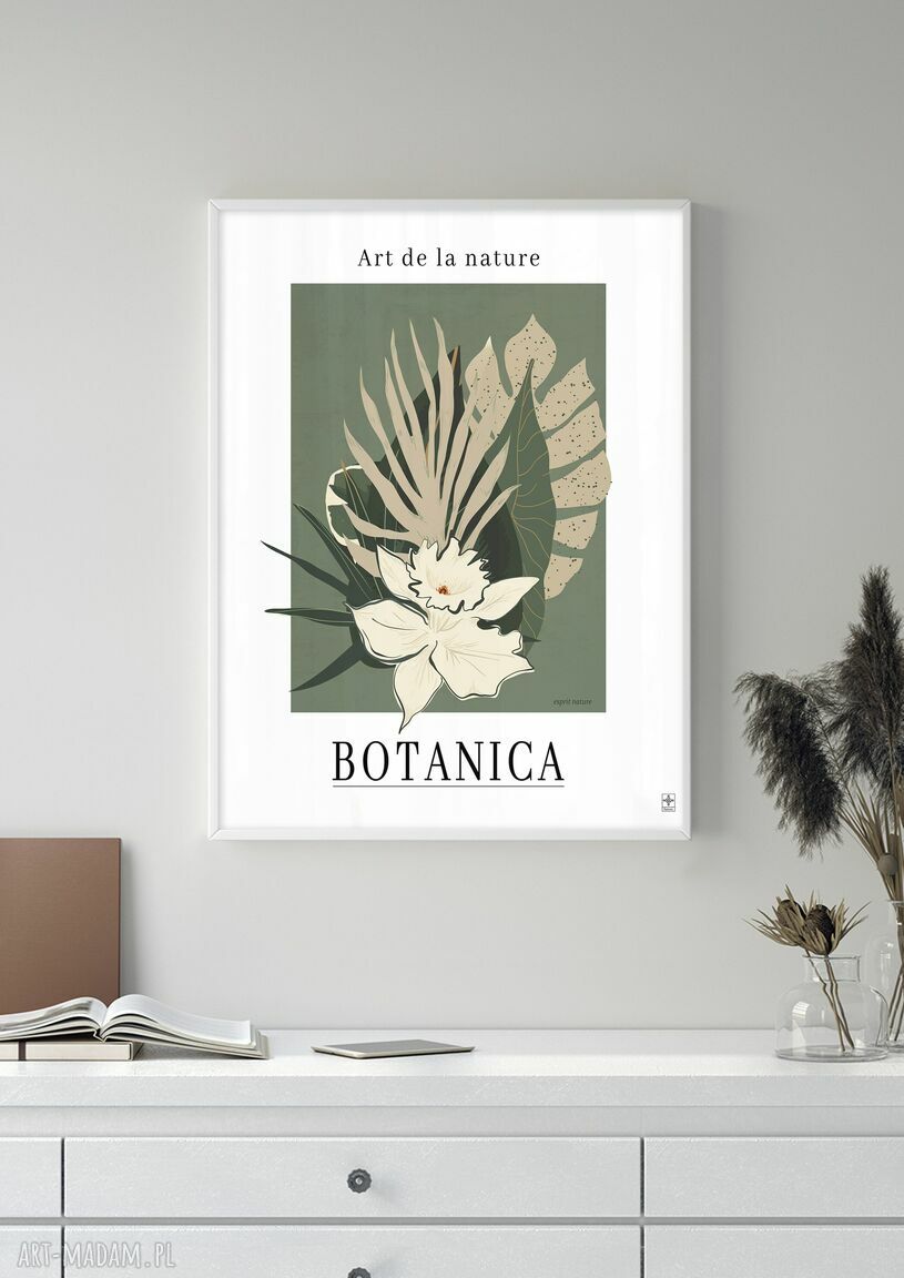 Botaniczne plakaty 50x70 cm do salonu - zestaw