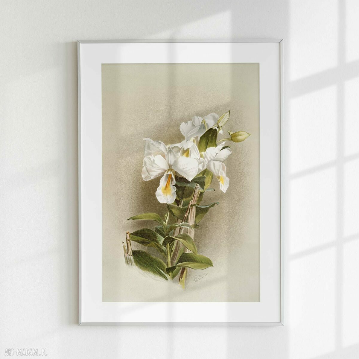 Zestaw plakatów 30x40 cm retro z kwiatami flow_10 - tryptyk (3 części)