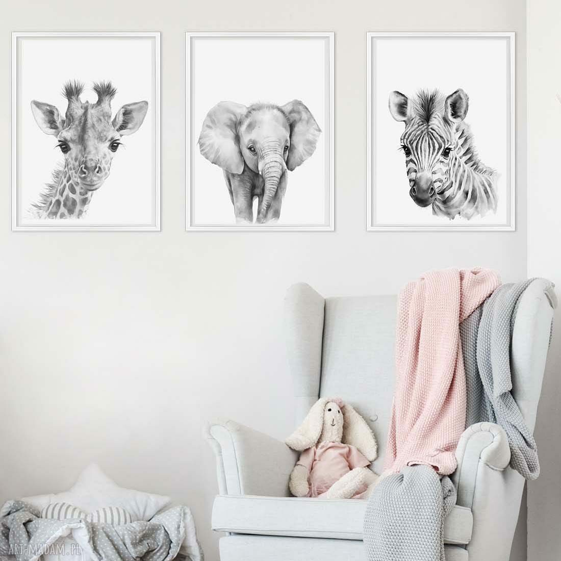 Zestaw plakatów dziecięce Safari 40x50 cm - 3 sztuki, bez ram