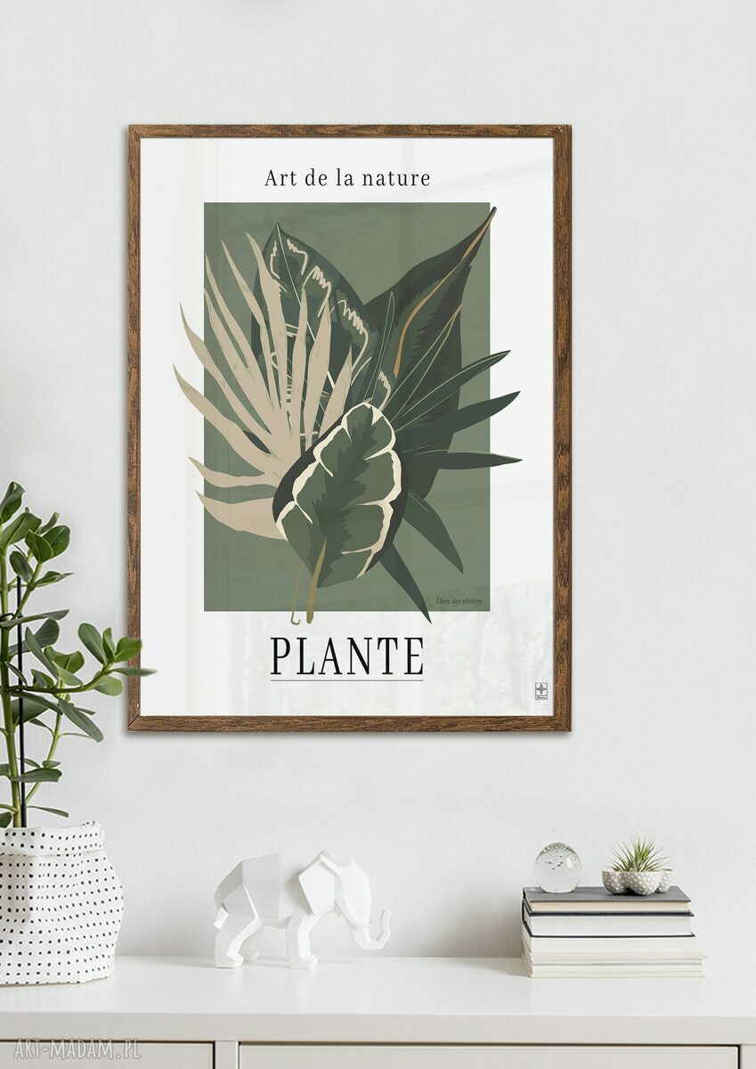 Zestaw plakatów botanicznych 40x50 cm - monstera i liście