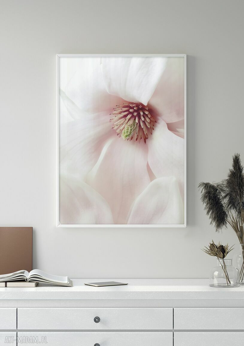 Zestaw plakatów 50x70 cm: Róża i Magnolia (31)