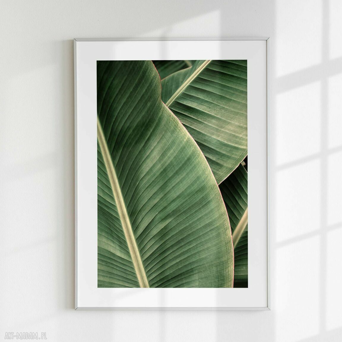 Zestaw plakatów 30x40 cm - Natura, butelkowa zieleń (tryptyk botaniczny)