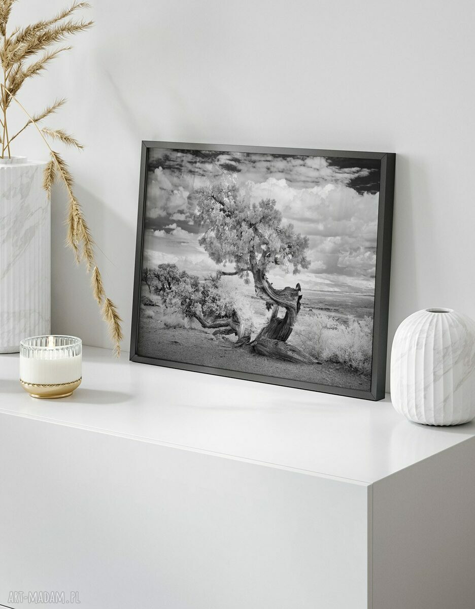 Zestaw plakatów Natura - 4 części po 40x50 cm (set124)
