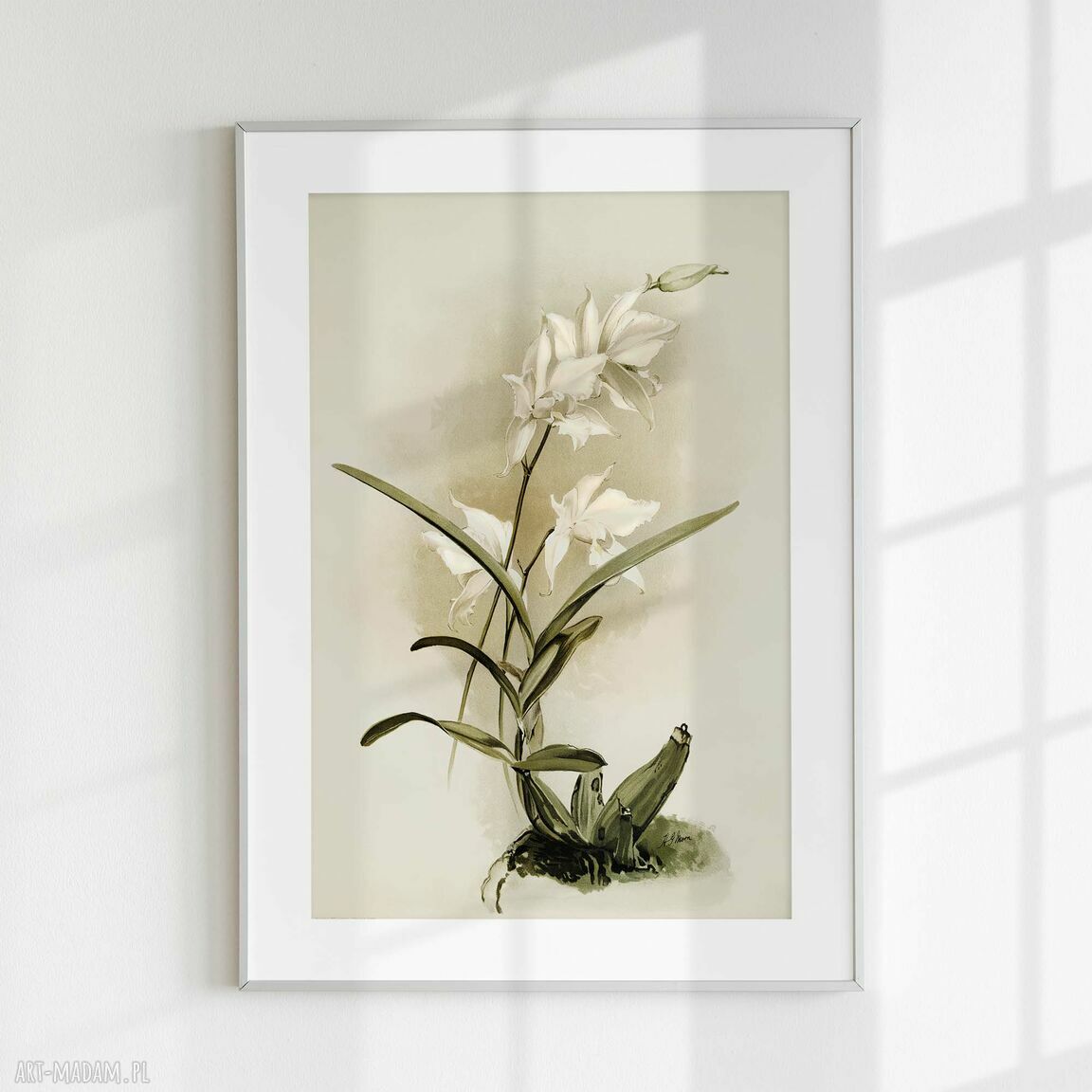 Zestaw plakatów 30x40 cm retro z kwiatami flow_10 - tryptyk (3 części)