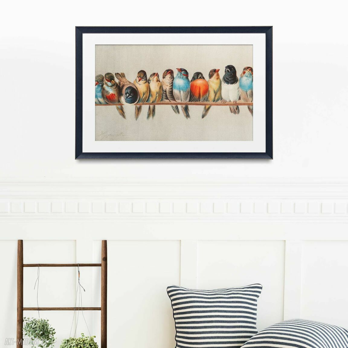 Zestaw 2 plakatów 50x40 cm - kolorowe ptaki (set7)