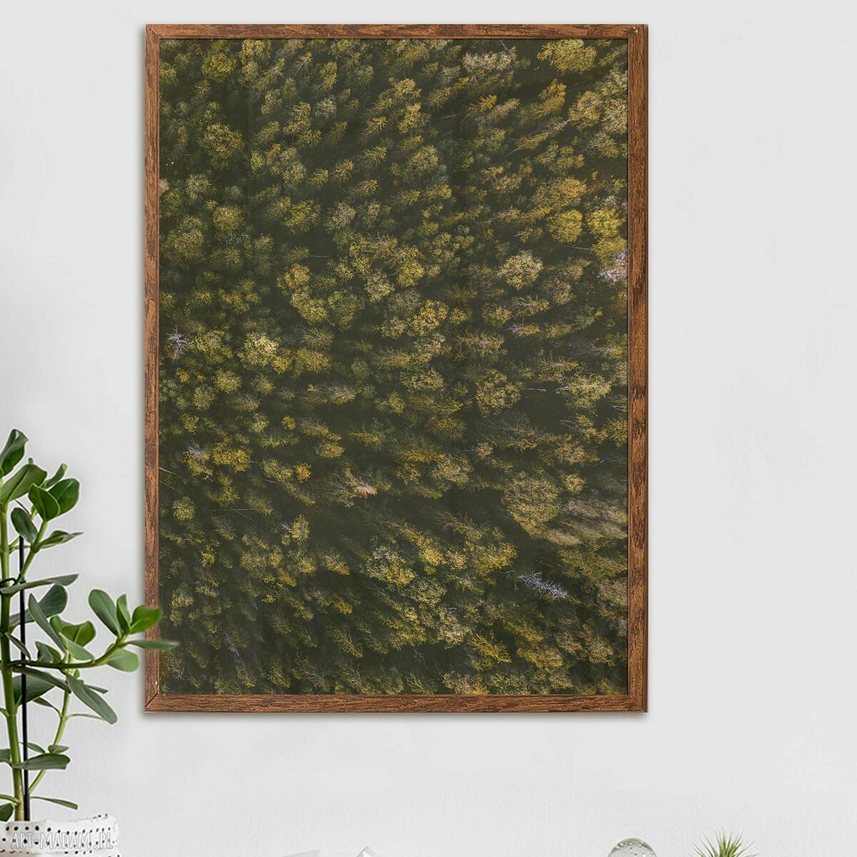 Tryptyk z naturą - zestaw plakatów 40x50 cm do salonu (3 szt.)