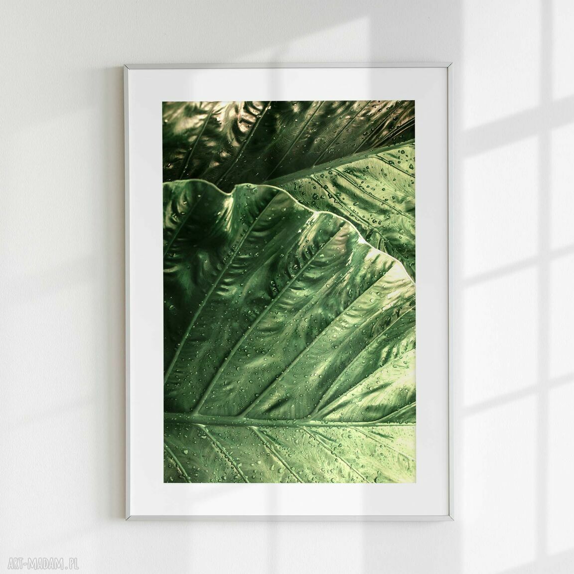 Zestaw plakatów 50x70 cm Natura - butelkowa zieleń (tryptyk set44)