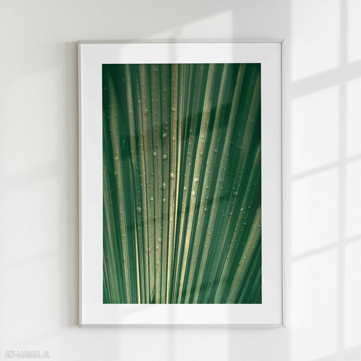Zestaw plakatów 50x70 cm Natura - butelkowa zieleń (tryptyk set44)