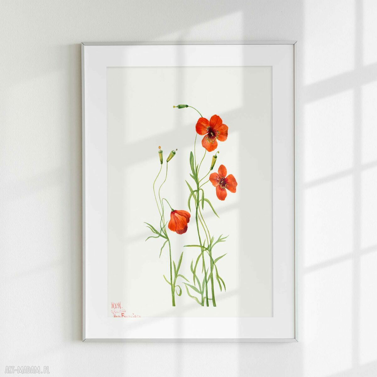 Tryptyk z kwiatami - zestaw plakatów botanicznych 40x50 cm