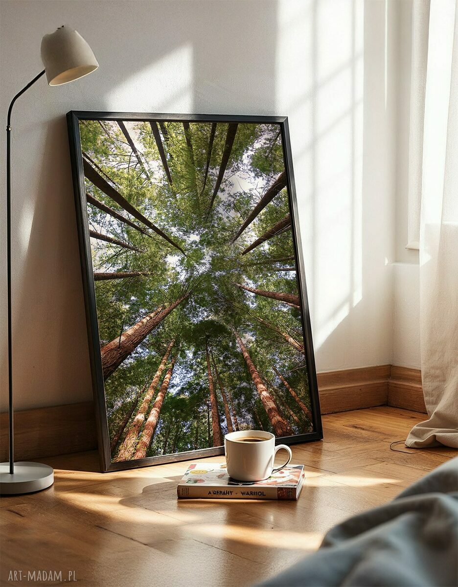 Zestaw 2 plakatów 40x50 cm Las (set210) - pejzaż na ścianę