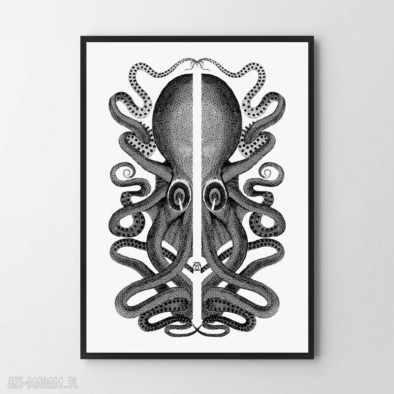Zestaw plakatów Ośmiornice 40x50 cm