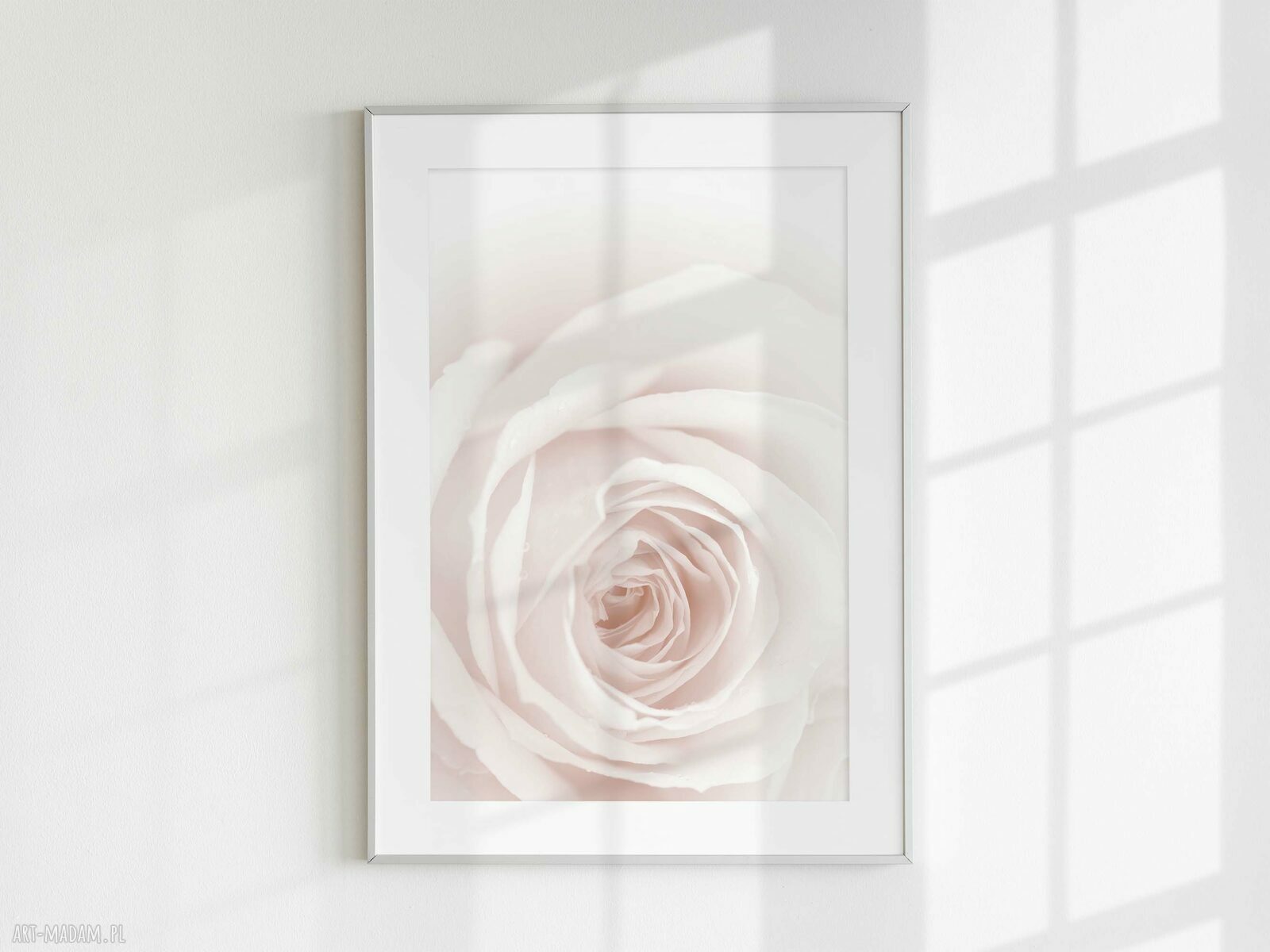 Kwiatowy zestaw 3 plakatów motywacyjnych 40x50 cm (set12)