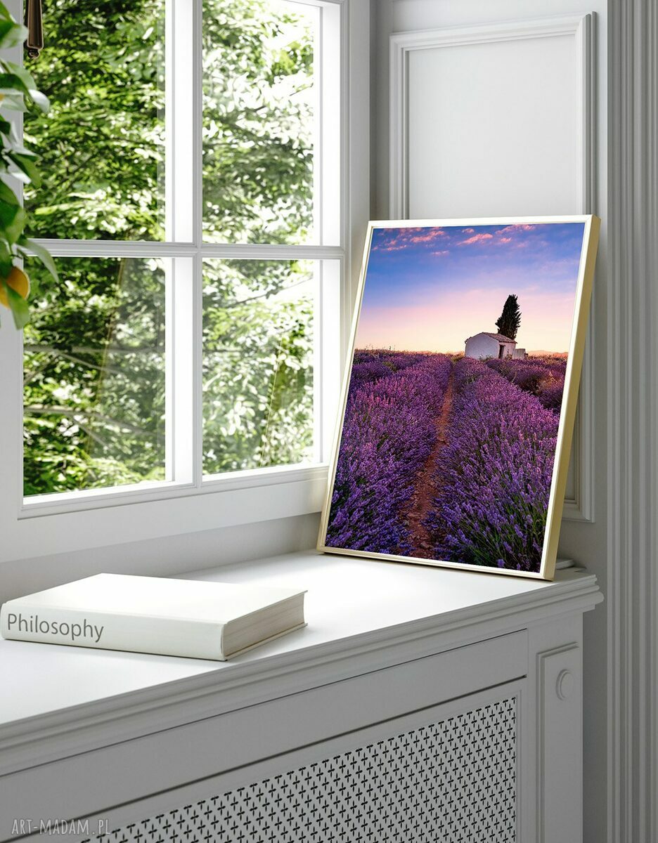 Zestaw 3 plakatów 30x40 cm, Motyw lawendy (tryptyk)