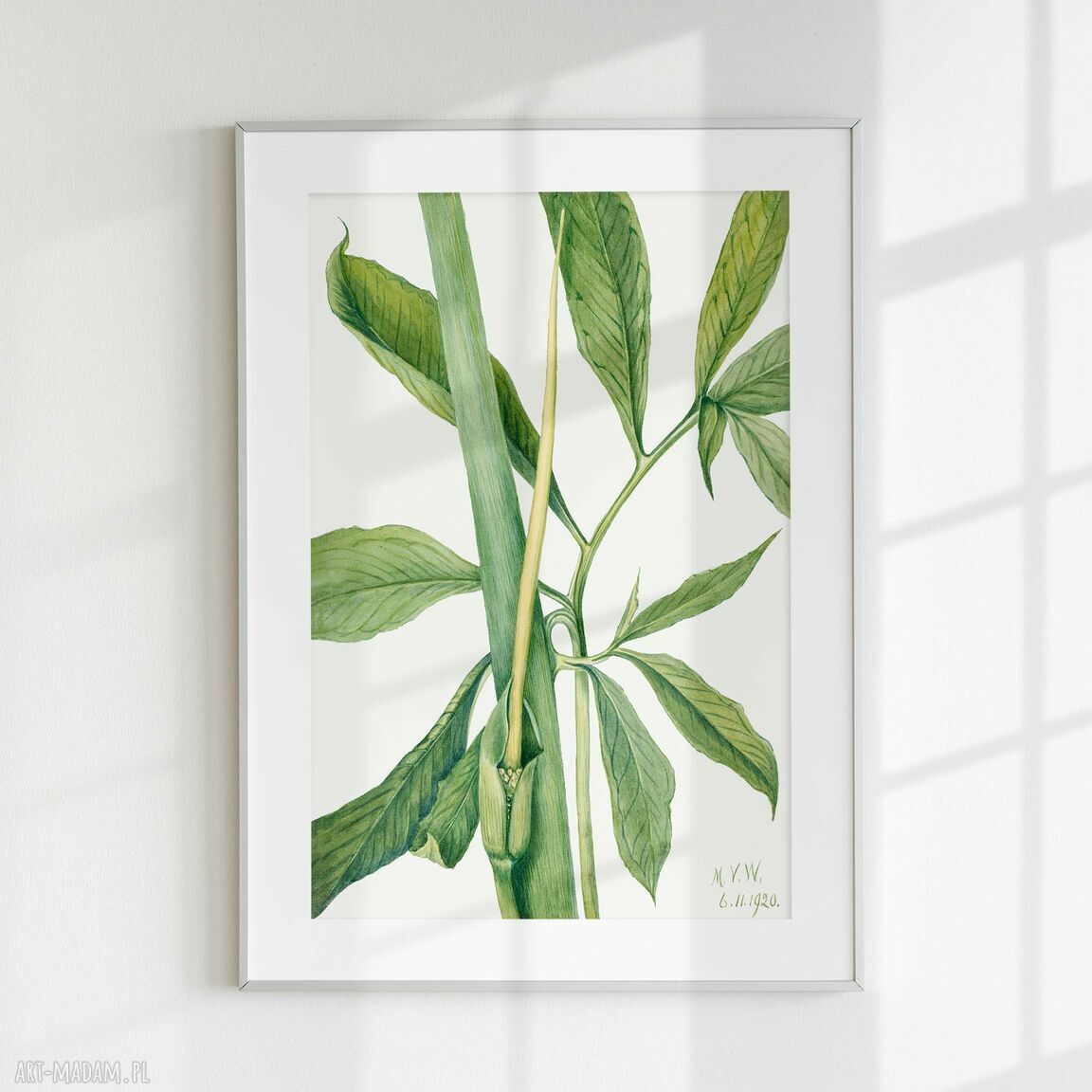 Zestaw 3 plakatów botanicznych 40x50 cm retro z liśćmi (bez ram)