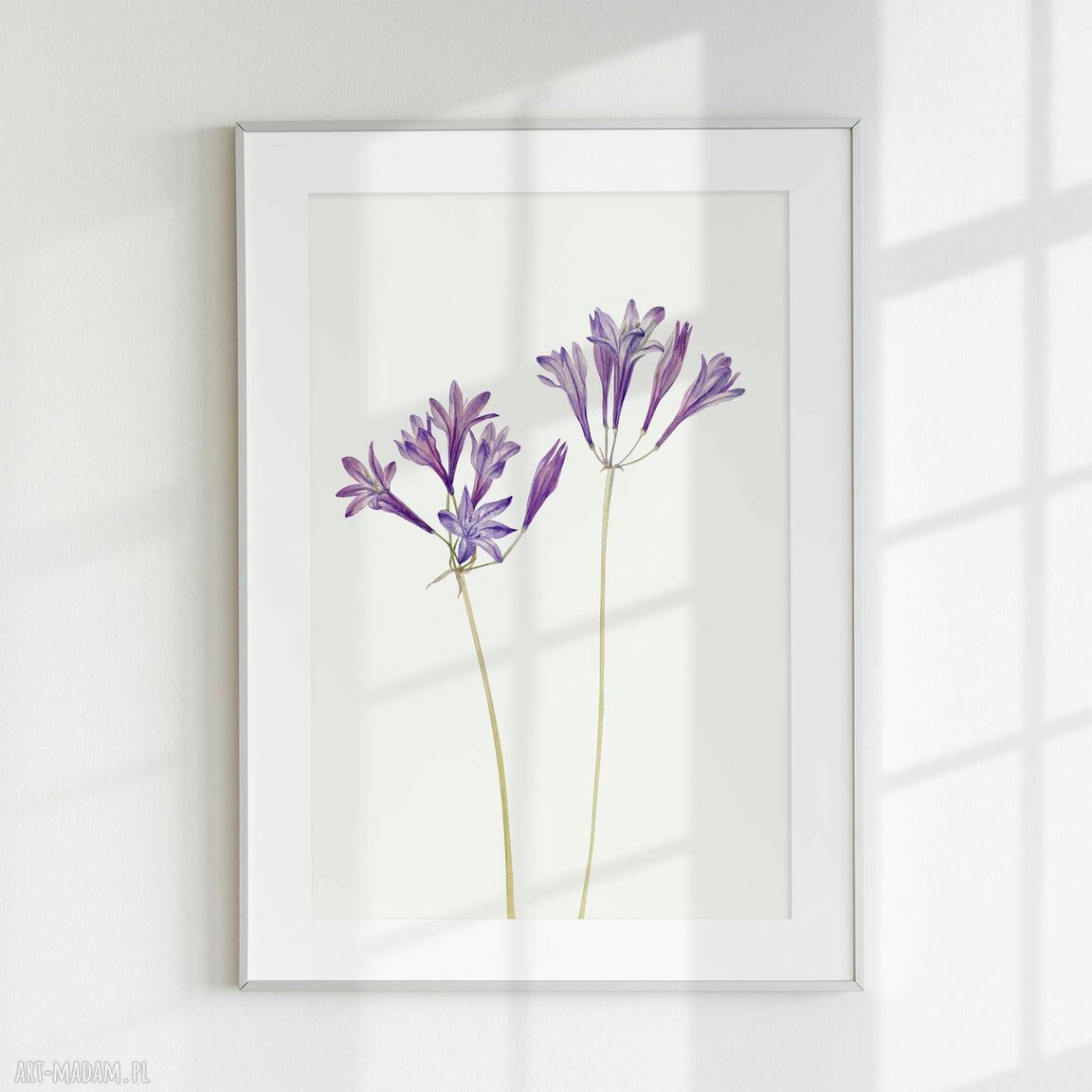 Tryptyk z kwiatami - zestaw plakatów botanicznych 40x50 cm