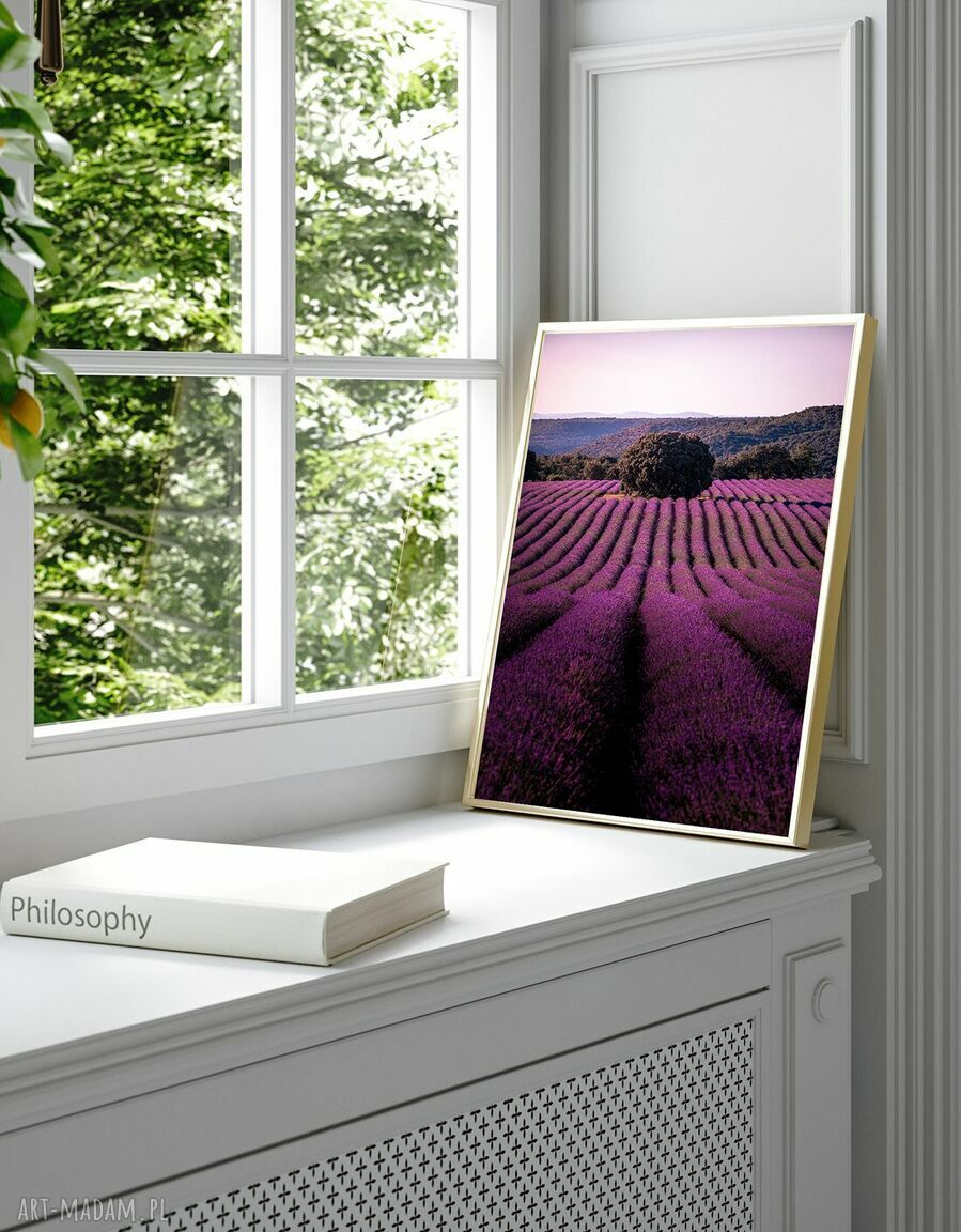 Tryptyk z lawendą - zestaw 3 plakatów 40x50 cm