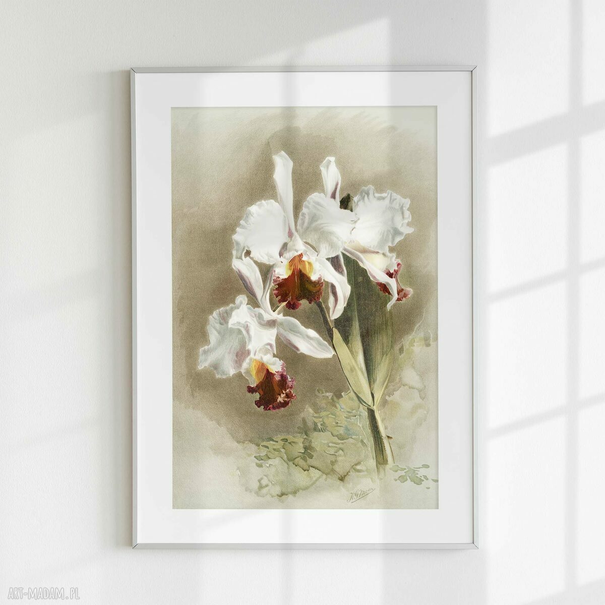 Zestaw plakatów 30x40 cm retro z kwiatami flow_10 - tryptyk (3 części)