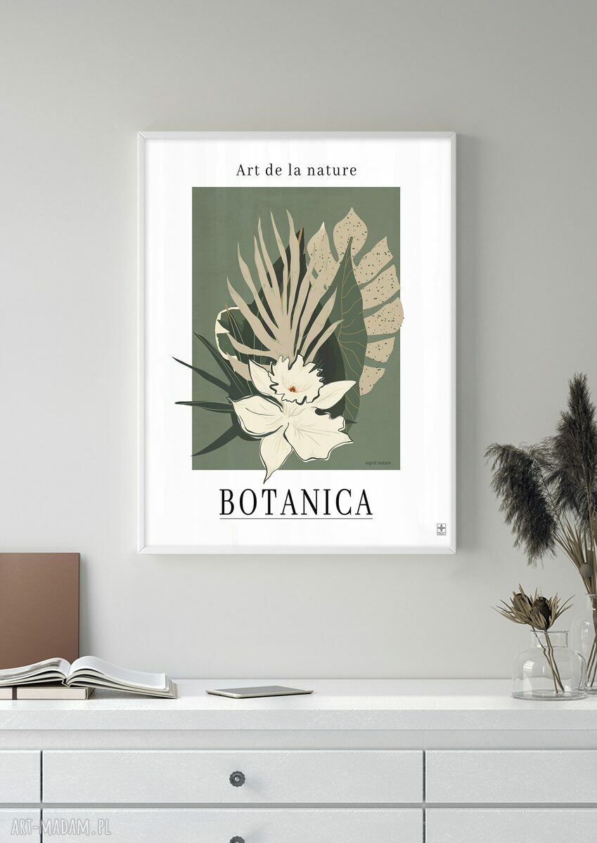 Zestaw plakatów botanicznych 40x50 cm - monstera i liście