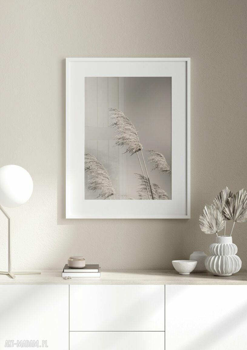 Zestaw plakatów 40x50 cm "Bawełna trawy" w neutralnej kolorystyce - GC-21-973