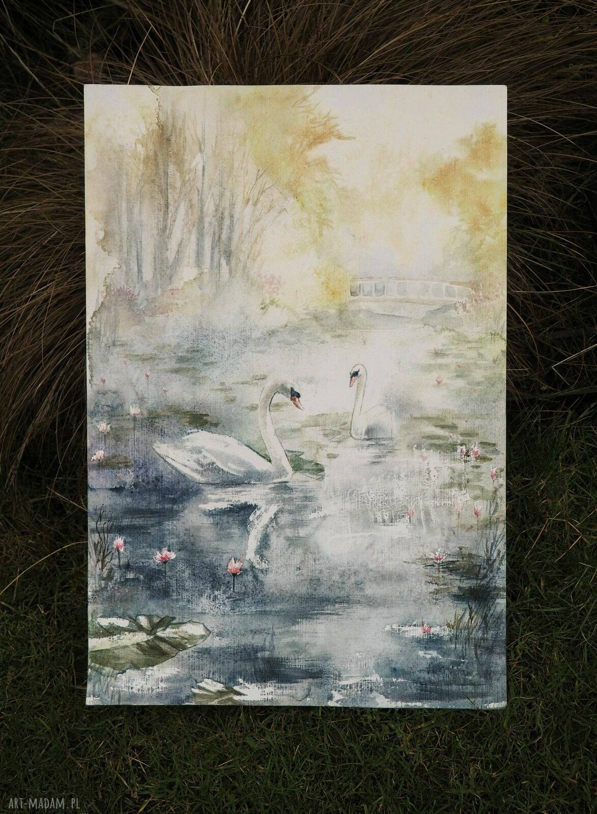 Złota Jesień nad Wodą - Akwarela z Łabędziami w białym passe-partout 50 x 70 cm