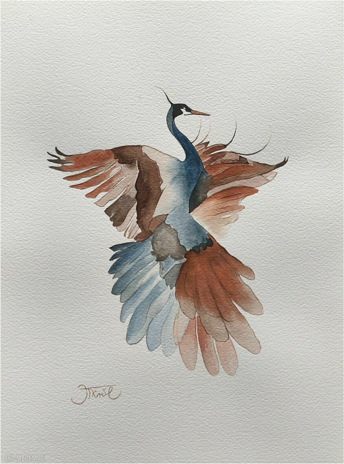 Żuraw 2 - akwarela 24x32 cm oryginał