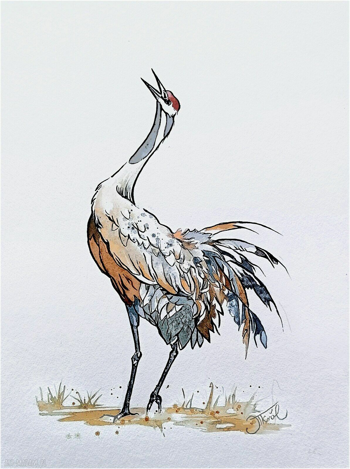 Oryginalna akwarela z żurawiem 24x32 cm - obraz ptaków wodnych