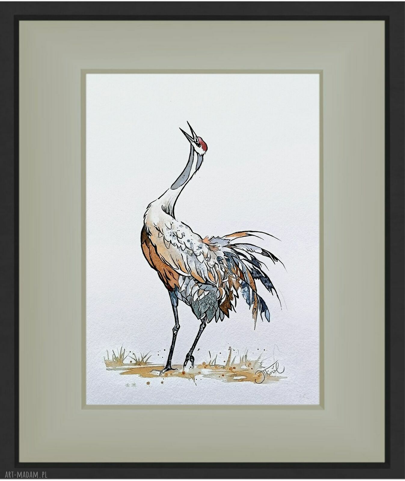 Oryginalna akwarela z żurawiem 24x32 cm - obraz ptaków wodnych